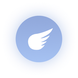 flying icon